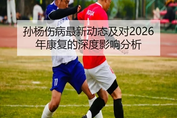 孙杨伤病最新动态及对2026年康复的深度影响分析
